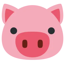 cute pig face