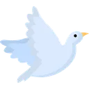 Free Pigeon Bird Dove Icon