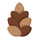 Free Pine Cone  Icon