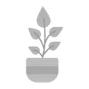 Free Plant Icon