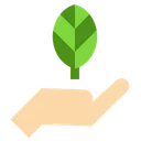 Free Plant Growth Growth Hand Icon