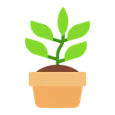 Free Plant Flat Icon