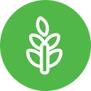 Free Plant Tree Leaf Icon