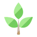 Free Plant Icon
