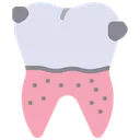 Free Plaque Teeth Decay Teeth Icon