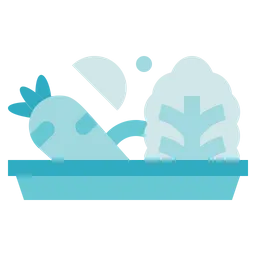 Free Plate Salad  Icon