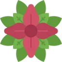 Free Poinsettia Botanical Flower Icon