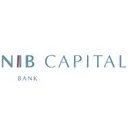 Free Nib Capital Banco Icon