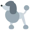 Free Poodle  Icon