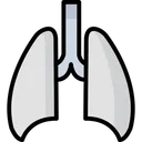 Free Poumons Anatomie Respiration Icône