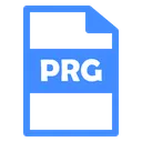 Free Prg File Prg File Icon