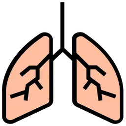 Free Pulmones  Icono