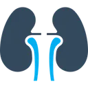 Free Pulmones  Icon