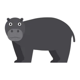 Free Pygmy hippo  Icon