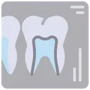 Free Raio X Odontologico Relatorio De Dentes Exame De Dentes Ícone