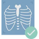 Free Chest Ribs Xray Icon