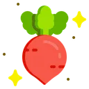 Free Radish Beetroot Root Icon