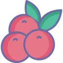 Free Grappe De Raisin Nourriture Fruits Icon