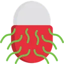 Free Rambutan Icon