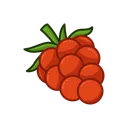 Free Raspberries  Icon