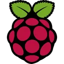 Free Raspberry Pi Logo Icon