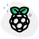 Free Raspberrypi Technology Logo Social Media Logo Icon