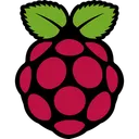 Free Raspberrypi Technology Logo Social Media Logo Icon