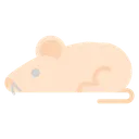 Free Rat  Icon