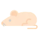 Free Science Lab Rat Icon