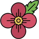 Free Recuerdo Dia De Conmemoracion Culturas Icono