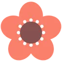 Free Flower Flora Floral Icon