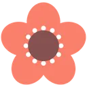 Free Red flower  Icon