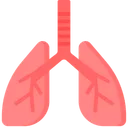 Free Respiratory Care  Icon
