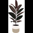Free Rubber Plant Plant Pot House Plant Icon