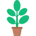 Free Rubber Plant Icon