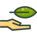 Free Hand Holding Leaf Hand Hold Icon