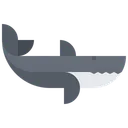 Free Shark Fish Animal Icon