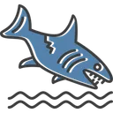 Free Shark  Icon