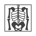 Free Skeleton Icon