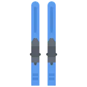 Free Ski Equipment  Icon
