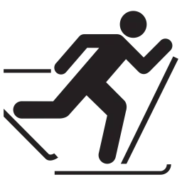 Free Skiing  Icon