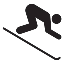 Free Skiing  Icon