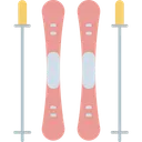Free Skiing Icon
