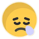 Free Sleepy Snot Bubble Sleep Icon