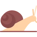 Free Snail  Icon