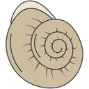 Free Slow Turtle Snail Mollusc Icon