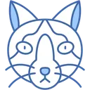 Free Snowshoe Cat White Paws Blue Eyes Icon