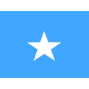 Free Somalia Flag Country Icon