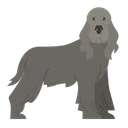 Free Spaniel Dog Puppy Icon