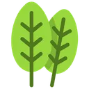 Free Spinach  Icon